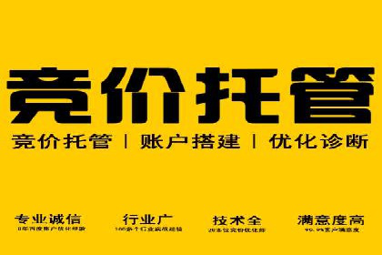 谷歌SEM广告策略：某电商平台的成功逆袭案例